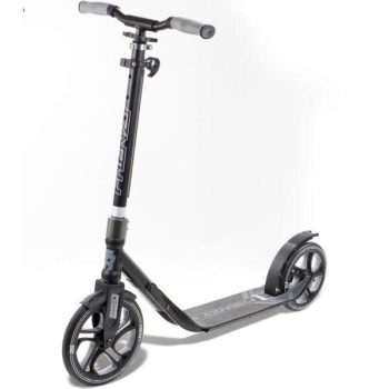 Городской самокат Frenzy 250 mm Recreational black