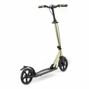 Городской самокат Frenzy 205 mm Dual Brake Recreational champagne