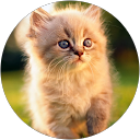 Евгения М. profile picture